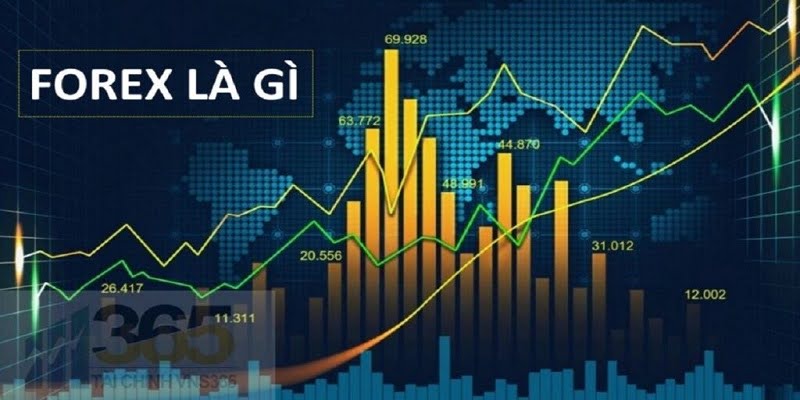 Forex là gì? Khám phá thị trường forex Việt Nam