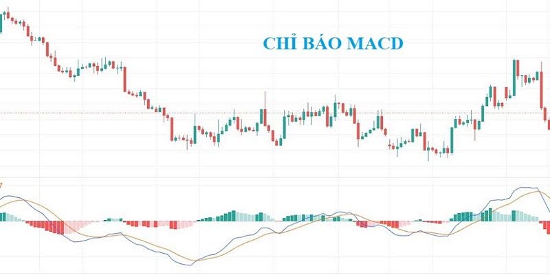 Hiện tại, chỉ báo MACD được chia làm 4 đường thời gian