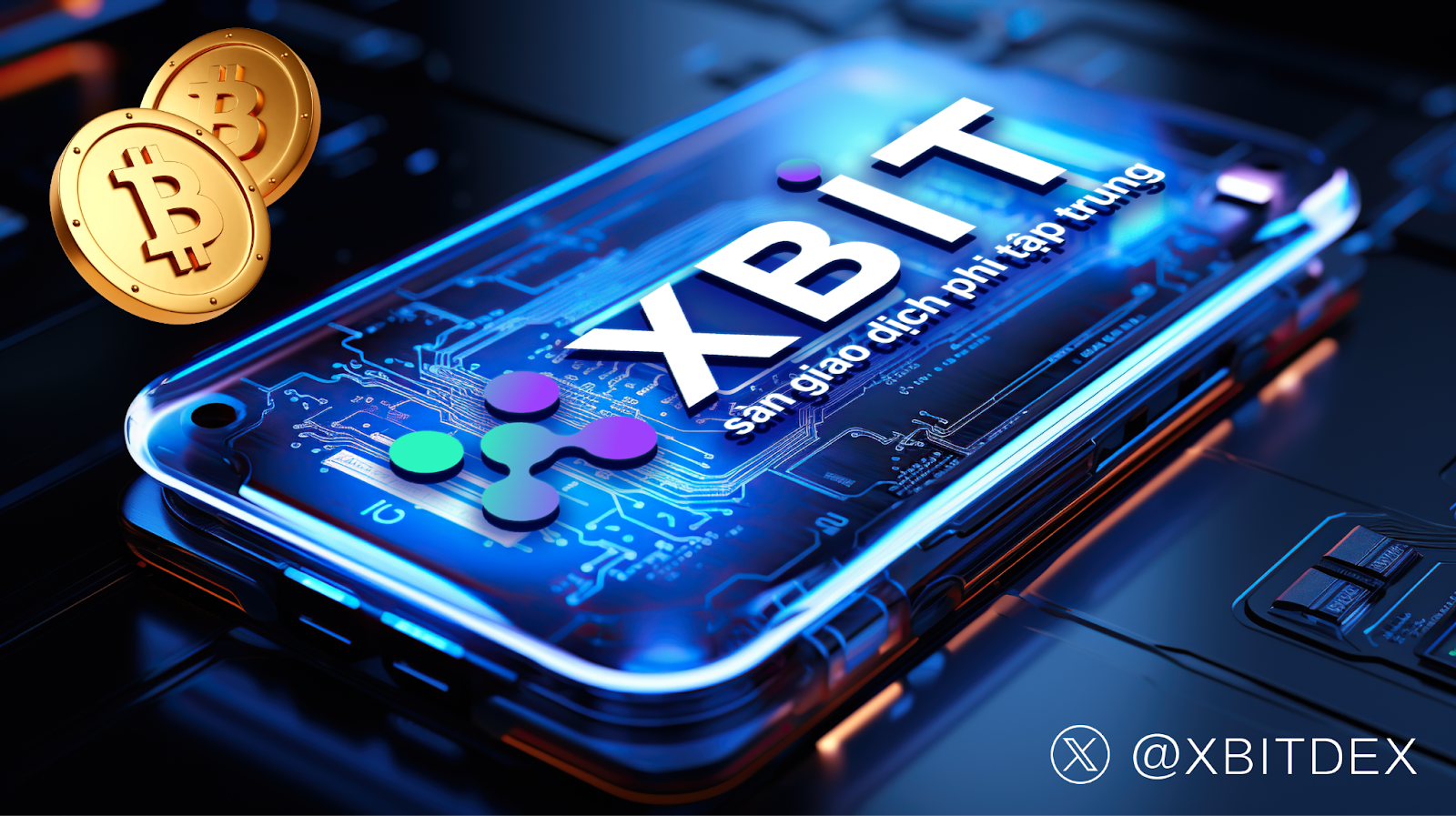 website-chinh-thuc-cua-btc-quan-ngai-ca-voi-lonen-tang-trao-doi-phi-tap-trung-xbit-hoat-dong-on-dinh